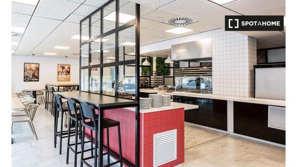 Habitación Estudio Individual Cartuja - Media pensión incluida