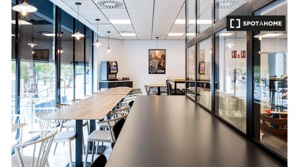 Habitación Estudio Individual Cartuja - Media pensión incluida