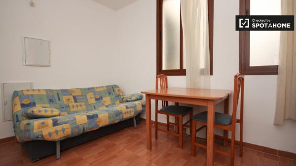 Apartamento de 2 dormitorios en alquiler en Granada Centro