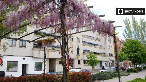 Apartamento de 1 dormitorio en alquiler en Salamanca