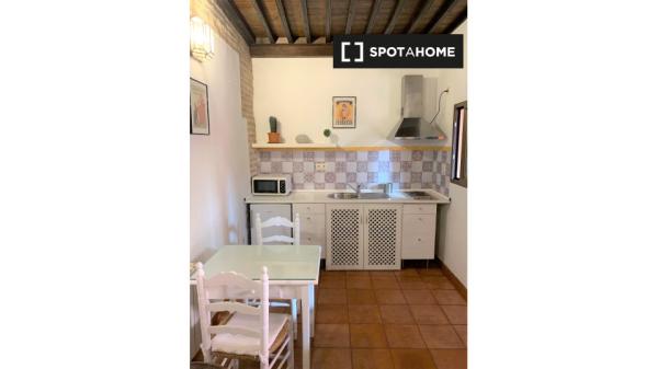 Estudio en alquiler en San Pedro, Granada