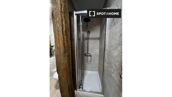 Estudio en alquiler en el Casco Viejo, Bilbao