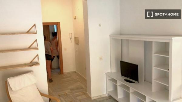 Apartamento completo de 2 dormitorios en Sevilla