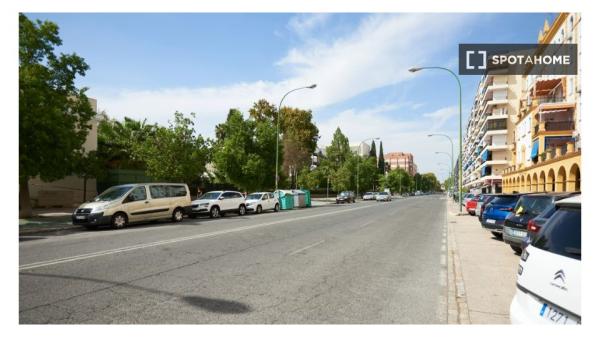 Se alquila habitación en piso compartido en Sevilla