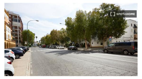 Se alquila habitación en piso compartido en Sevilla