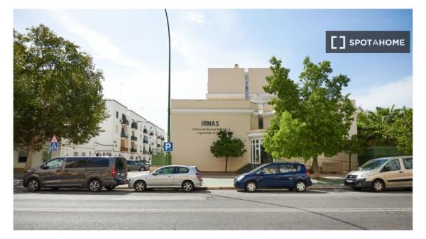 Se alquila habitación en piso compartido en Sevilla