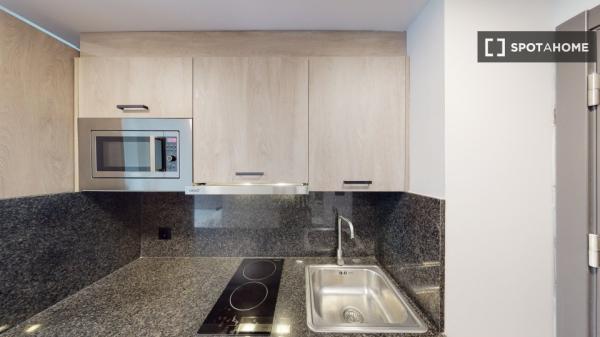 Apartamento tipo estudio en alquiler en una residencia en Alicante