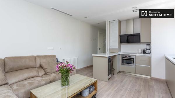 Moderno apartamento de 1 dormitorio en alquiler en Rios Rosas, Madrid