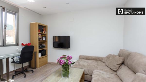 Moderno apartamento de 1 dormitorio en alquiler en Rios Rosas, Madrid
