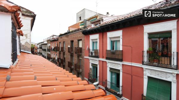 Tranquilo apartamento de 1 dormitorio en alquiler en Malasaña, Madrid