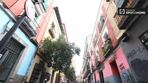 Tranquilo apartamento de 1 dormitorio en alquiler en Malasaña, Madrid