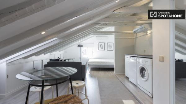 Elegante estudio en alquiler en Centro, Madrid