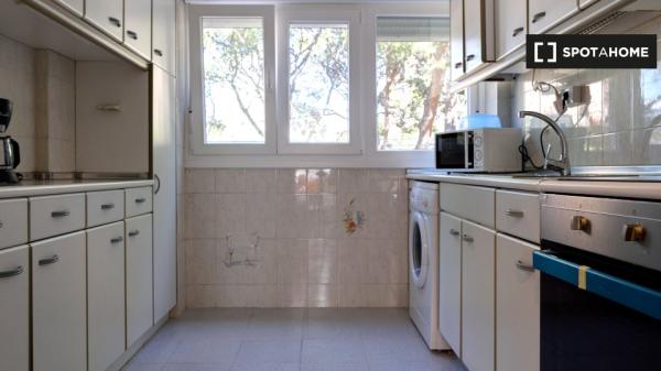 Chambre en colocation à Saragosse