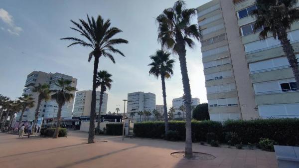 Piso en barrio El Palmeral-Urbanova-Tabarca