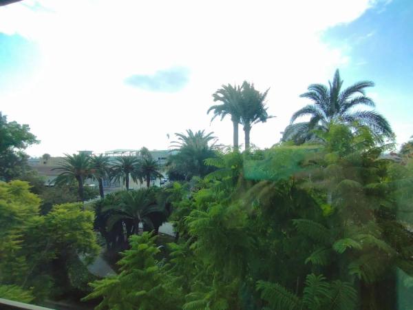 Piso en avenida de Ramón y Cajal