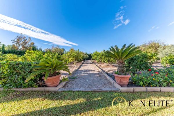 Casa independiente en camino Cipres