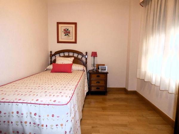 Piso en calle Catedrático Lafuente Vidal