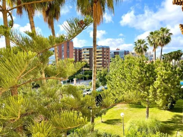 Piso en calle Campo de Mirra, 6