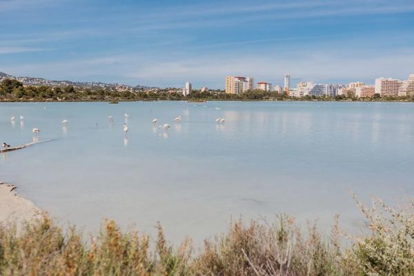Estudio en avenida de los Ejércitos Españoles