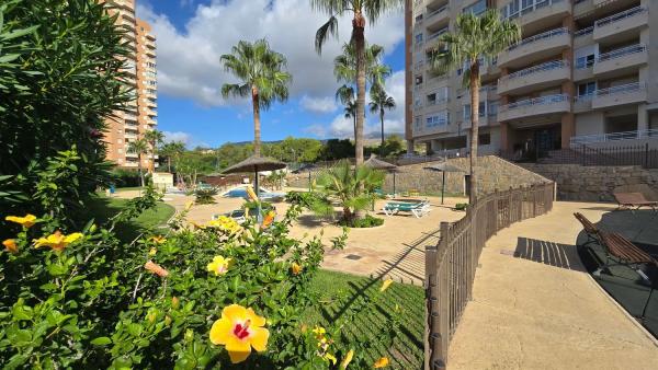 Piso en calle Presidente Adolfo Suárez