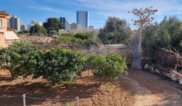 Casa independiente en Pla Senieta