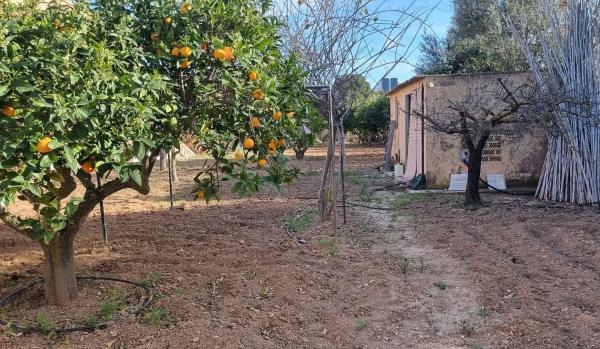 Casa independiente en Pla Senieta