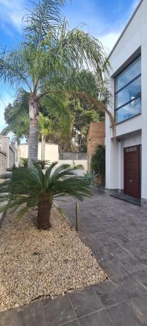 Casa independiente en Partida Pinos, los, 15 g