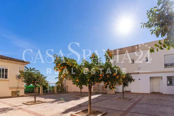 Estudio en Pueblo Levante