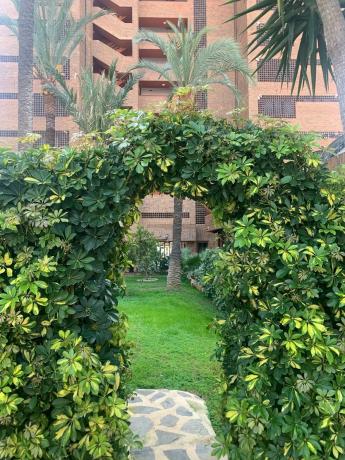 Piso en Playa de Levante