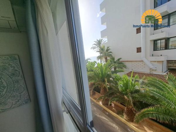 Estudio en Zona l'Olla