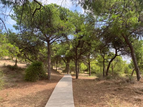 Piso en Lomas del polo, 8