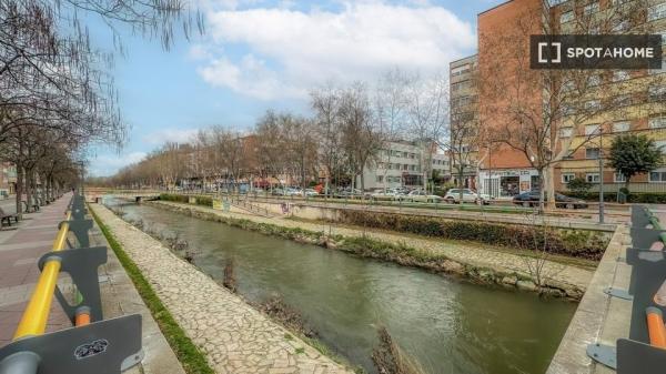 Wspólne mieszkanie w Valladolid