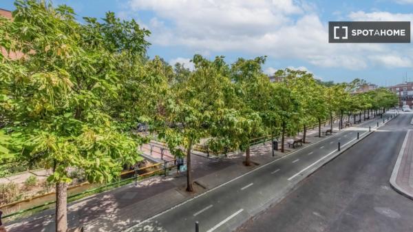 Wohngemeinschaft in Valladolid