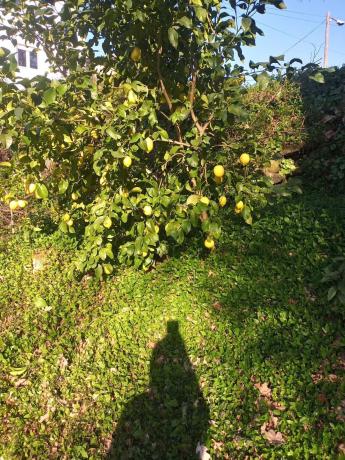 Casa independiente en Enxo