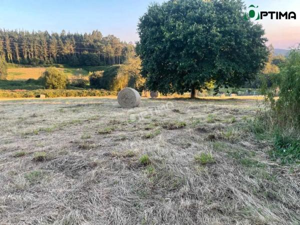 Casa independiente en Lugar Mero