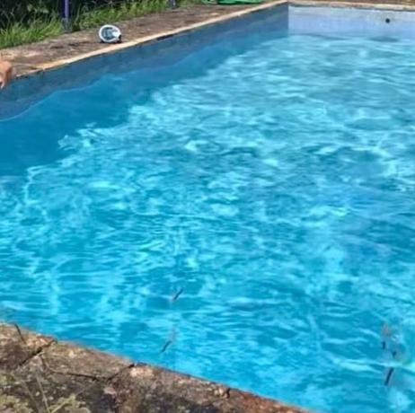 Casa independiente en avenida Francisca Herrera