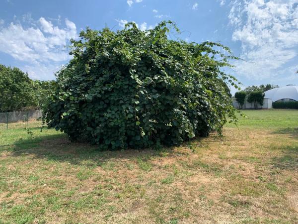 Casa independiente en Lugar Pena Embade, 50