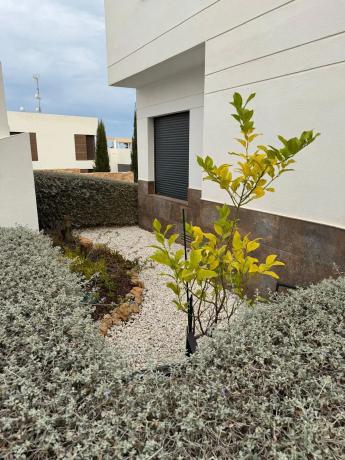 Chalet adosado en calle San Gregorio