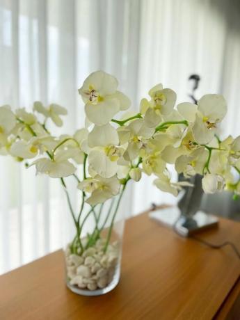Casa independiente en avenida de Benidorm