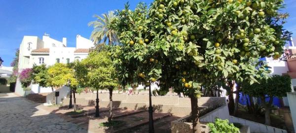Chalet adosado en Urbanización Altos del Rodeo, Marbella, 22 -3