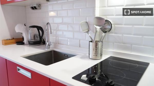 Apartamento entero de 1 habitaciones en Madrid