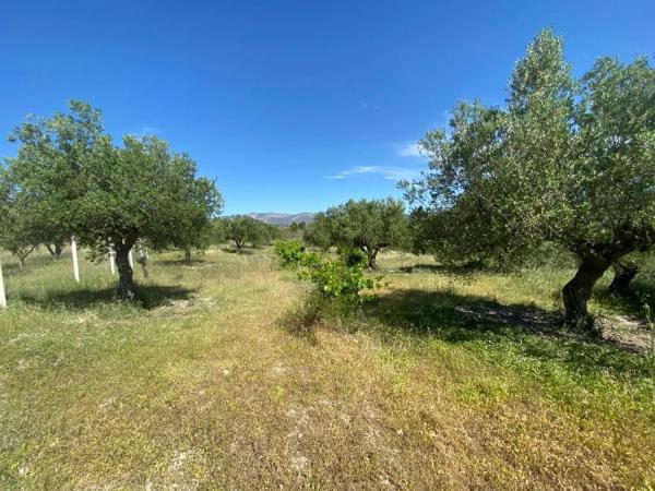Casa independiente en pd. Alqueries de Benifloret, 23