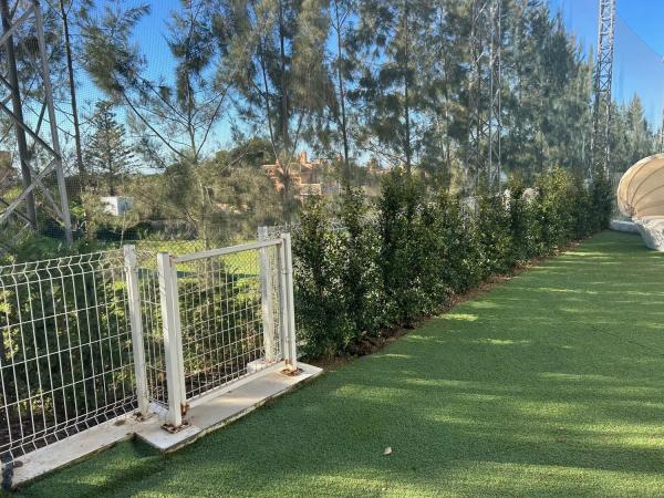 Piso en calle La Romana s/n