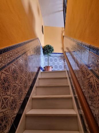 Chalet adosado en calle Fuente s/n