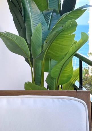 Estudio en Barrio Playa Bajadilla-Puertos