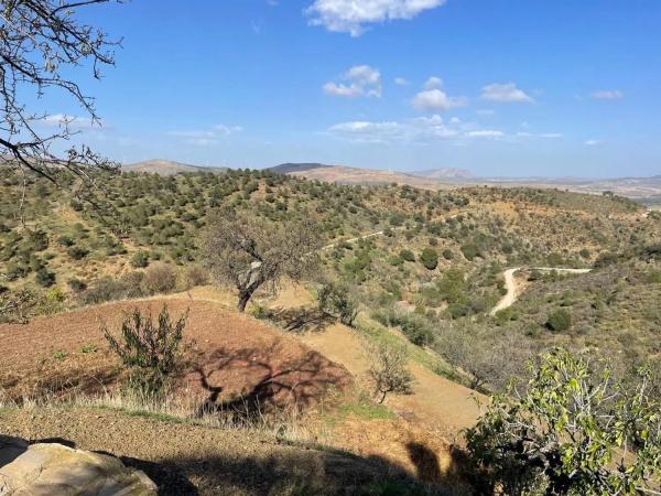 Casa independiente en Ma-5402