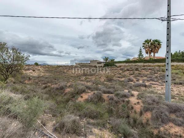 Terreno en calle de la Fatsia