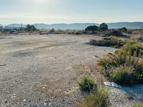 Terreno en calle Magnolia, 1
