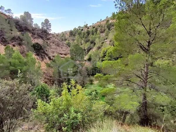 Terreno en El Realet