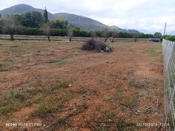 Terreno en carretera benidoleig, 1